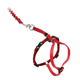 PetSafe Come With Me Gato con arnés y correa bungee para paseos seguros.