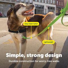 PetSafe detalle evita enredos y facilita paseos