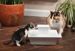 PetSafe Drinkwell Pagoda, doble corriente que anima a beber más agua.