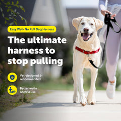 PetSafe Easy Walk arnés ajuste-confort y correas ajustables