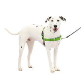 Arnés PetSafe Easy Walk con diseño frontal para paseos sin tirar.