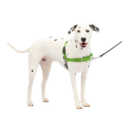 Arnés PetSafe Easy Walk con diseño frontal para paseos sin tirar.
