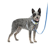 PetSafe Easy Walk: arnés frontal azul para entrenamiento sin tirones