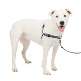 PetSafe Easy Walk Deluxe con correa frontal para reducir tirones durante paseos