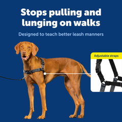 PetSafe Easy Walk: diseño transpirable para paseos largos y cómodos.