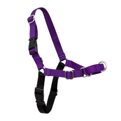 PetSafe Easy Walk Harness para perros, enfoque frontal martingala para paseos sin tirones.