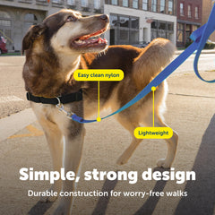 PetSafe correa resistente, construcción duradera para uso diario en exteriores.