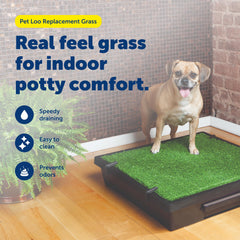 PetSafe Pet Loo: drenaje rápido para limpieza eficiente y menos olores.