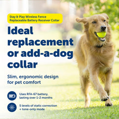 PetSafe Stay & Play collar receptor impermeable para perros, ideal para exteriores mojados.