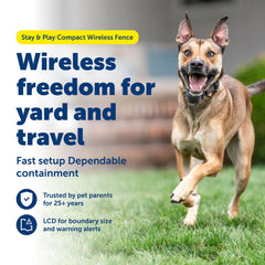 PetSafe Stay and Play: collar receptor recargable para perros desde 5 lb
