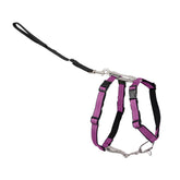 PetSafe arnés tres en uno con correa frontal para dirigir tirones.
