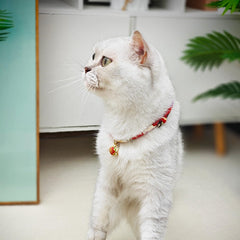 Collar PetsMeow suave crepé japonés, cómodo para gatitos y gatos activos