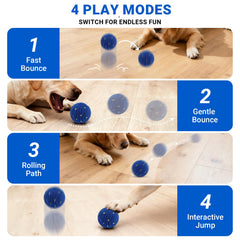PETSWEET: movimiento automático de la bola para juego independiente y estimulante.