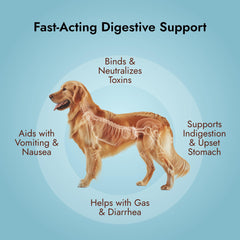 Gel de carbón activado para digestión sensible de mascotas con PetVet Medic.