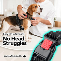 PHOEPET arnés con dos anillos D para control y seguridad.