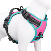PHOEPET arnés sin tirones con ajuste fácil para paseos cómodos.
