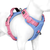 PHOEPET arnés sin tirones para perros, vista frontal, fácil de colocar durante paseos