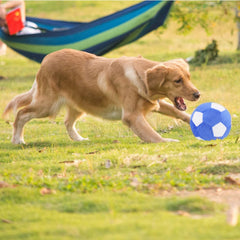 PIANG GOUER juguete canino sonoro, mantener ocupado al perro durante el juego