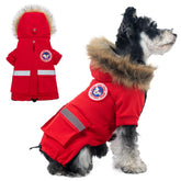 Pina abrigo para perro pequeño visto exterior, impermeable y cálido.