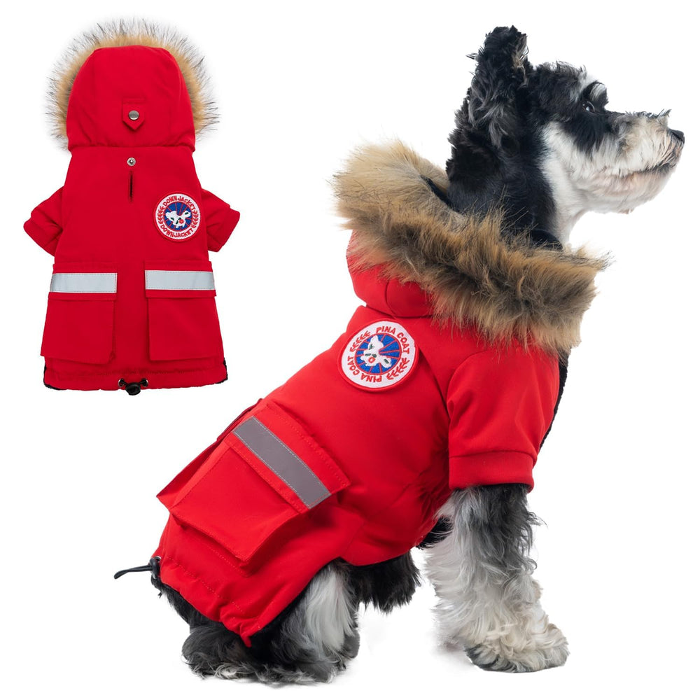La chaqueta Pina para perro pequeño protege de lluvia y viento.