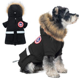 PINA chaqueta impermeable con capucha para perro pequeño, ideal para lluvia y viento