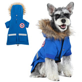 Chaqueta impermeable PINA para perro pequeño con capucha de pelo falso, ideal para clima frío