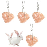 PINVNBY bloque-sal-himalaya-conejos-4-piezas, ideal para masticar
