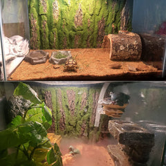 PINVNBY fondo de corcho terrario, ajuste flexible para tanques diversos.