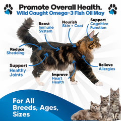 Planopaws Omega-3 para gatos: dosificador para añadir al alimento.
