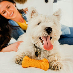 Playology Hueso cheddar con aroma duradero para mantener el interés del perro.