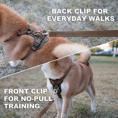 Arnés Plutus Pet con clip trasero para paseos diarios