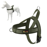 Arnés Plutus Pet con malla transpirable para comodidad durante paseos.