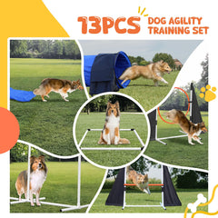 PopMoon túnel de entrenamiento para perros facilita sesiones en interiores o al aire libre