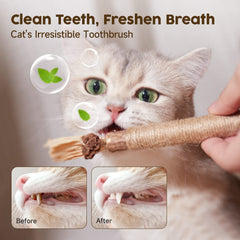 Potaroma fruta de matatabi atrae gatos para juego activo y exploración