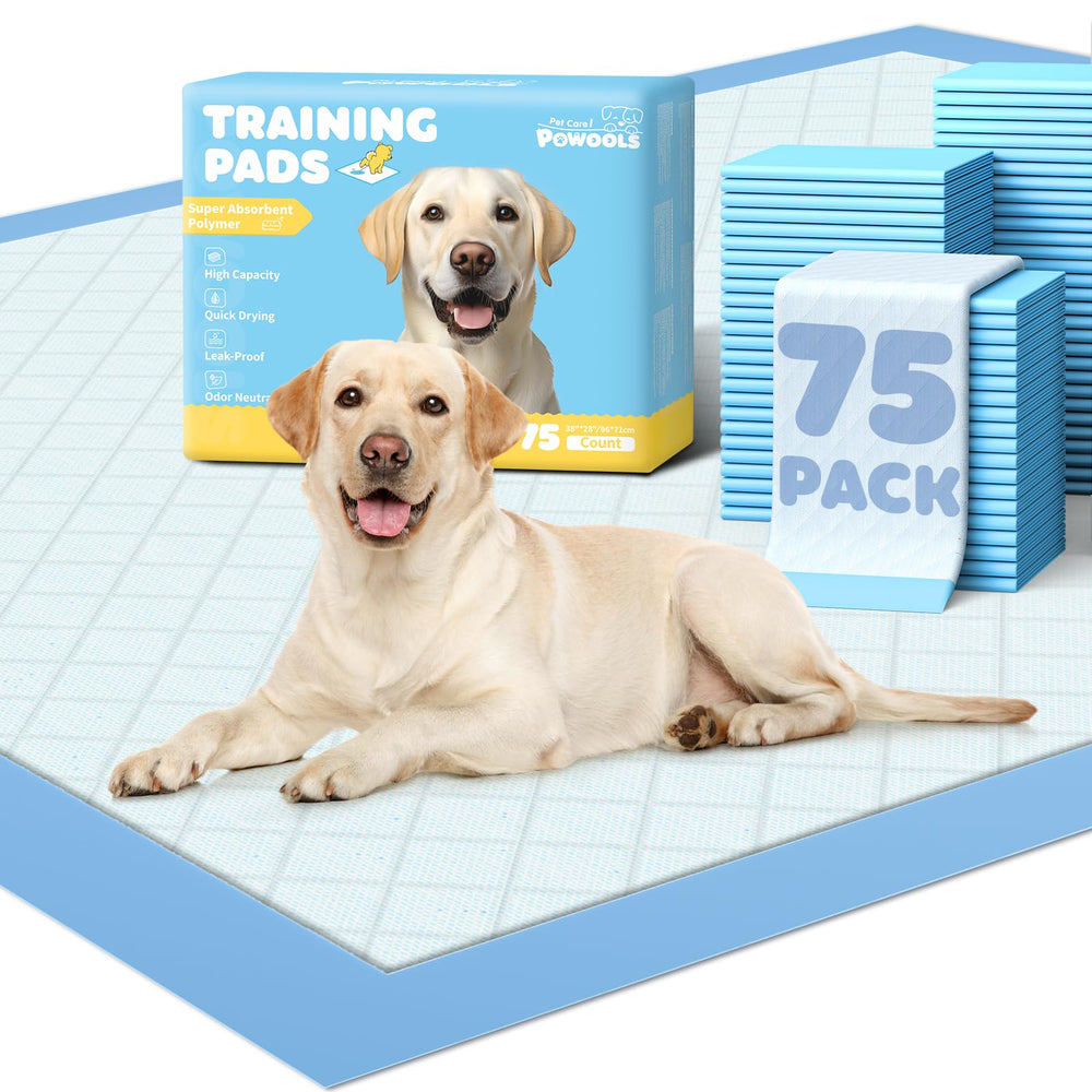 Powools pads-entrenamiento para perros, 38x28, ayuda a entrenar sin accidentes