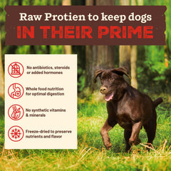 Primal Kibble con ingredientes enteros orgánicos para nutrición natural.