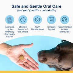 ProDen PlaqueOff Soft Chews, textura suave para masticar con paladar de mascota.