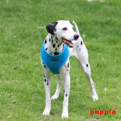 Arnés Puppia suave, primer plano de hebilla, colocación rápida para salidas.