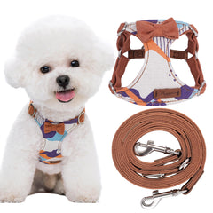 Puppytie arnés no pull XS visto de frente, diseño ligero y cómodo.