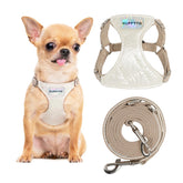 Arnés Puppytie sin tirones para perros medianos, cómodo y seguro.