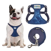Arnés Puppytie sin tirones para perros pequeños, cómodo y ligero.