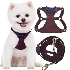 Arnés Puppytie sin tirones para perros pequeños, comodidad y control.