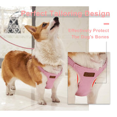 Puppytie correa multifuncional rosa, útil para paseos y accesorios prácticos.