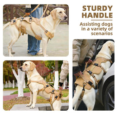 anilla en D frontal y trasera para entrenamiento y paseo con pupteck