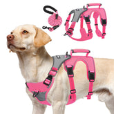 Arnés PUPTECK a prueba de escapes con clip frontal para entrenamiento seguro.