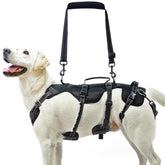 PUPTECK Arnes de elevación para perro senior con soporte para subir escaleras.