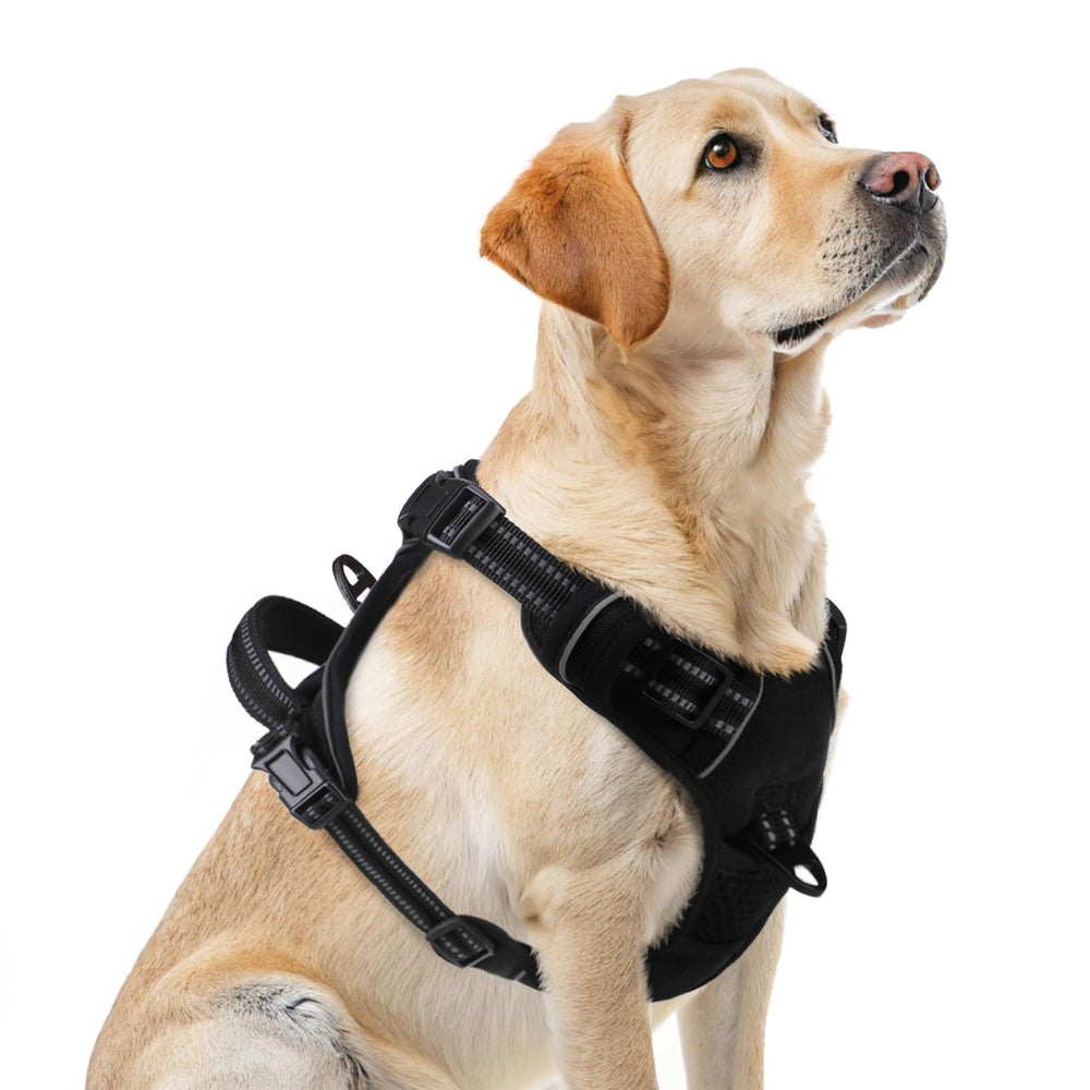 Arnés Pupteck con anilla frontal en D para caminar sin tirones.