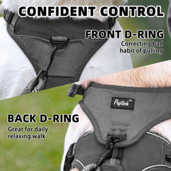 Arnés PUPTECK con dos clips fuertes para entrenamiento y paseo diario.