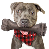 PUPTILY Hueso indestructible grande para perros grandes, ideal para masticar con seguridad.