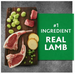 Ingrediente principal cordero en Pure Balance para perros, fuente de proteína.